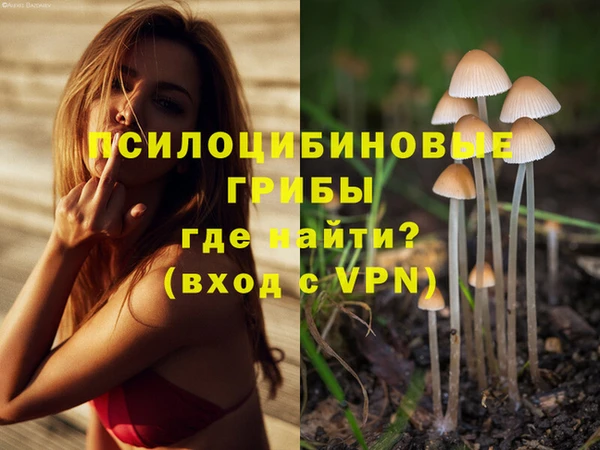 ешки Балахна