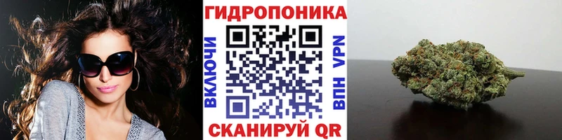 Марихуана ГИДРОПОН  где найти наркотики  Мглин 